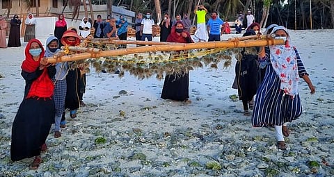 Members of a women's self-help group at Chetlath island in Lakshadweep deploying rafts for seaweed farming (Photo | Special arrangement)