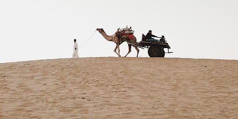 Often considered as wastelands, deserts are crucial for stabilisation of climate. (Representational Photo)