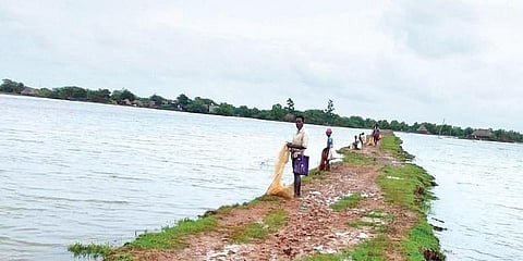Seaside villages submerged due to tidal ingress in Kendrapara district | Express