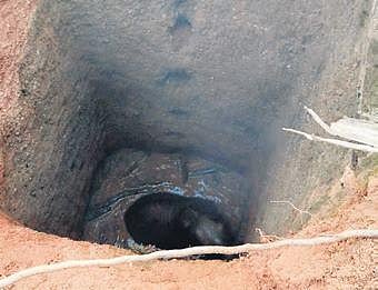 The baby elephant trapped inside the well