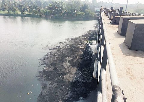 Carbon dust floating on Periyar river near Eloor-Pathalam regulator-cum-bridge