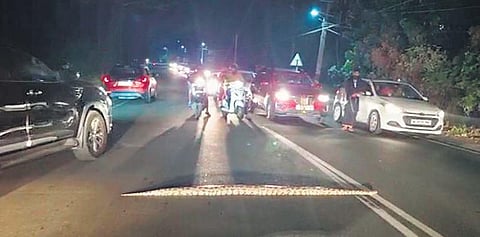 Traffic stands still in Kalamassery to let python pass