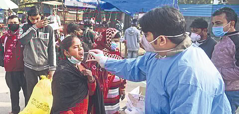 A healthcare worker collects a swab for Covid-19 testing. (Photo | Express)