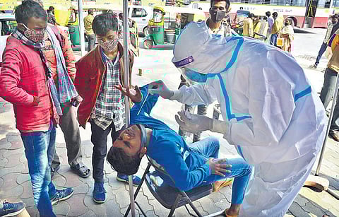 A youth winces as a health worker collects swab sample for Covid test, at the Majestic bus stand in Bengaluru on Tuesday. (Photo | EPS)