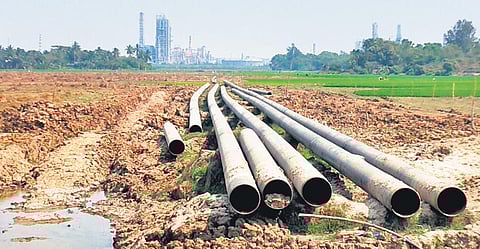 A stack of pipes to be laid by IOCL in Dhinkia (Photo | Express)