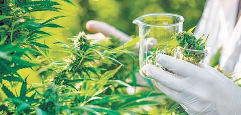 Image used for representational purpose.