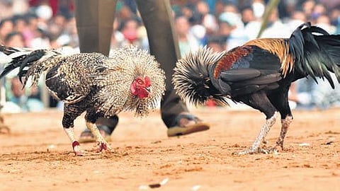 Image used for representational purposes only. 