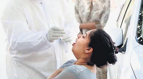A health worker collects a swab sample amid rising Covid cases in Bengaluru. The capital added 20121 new cases on Friday. | Express