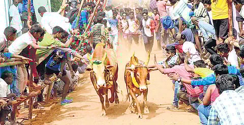 Representational image (File photo| EPS)