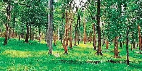 For representational purposes