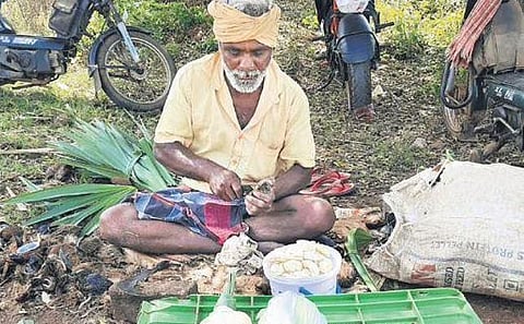 Palmyra seed holds ground amid virus scare