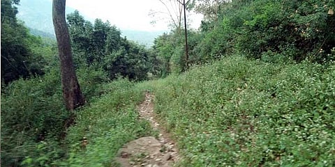 Aladipatti tribals want road connectivity to Salem, Dharmapuri