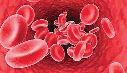 Four districts in TS at high risk of Thalassemia, says study