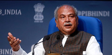 Invasive thrips caused 80% damage to chilli crops, Rajya Sabha told 