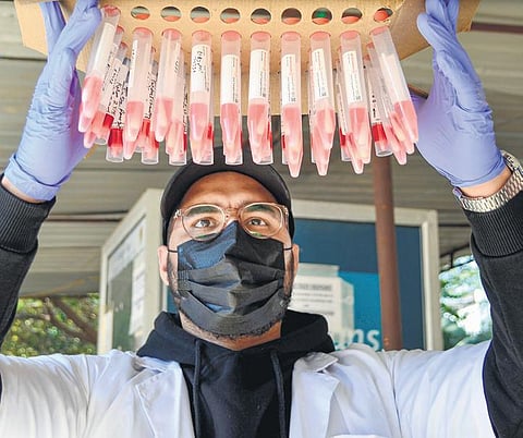 A health worker with samples collected for Covid test in Gurugram on Friday (Photo| PTI)
