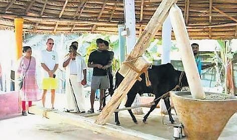 Image of tourists (Photo| EPS)