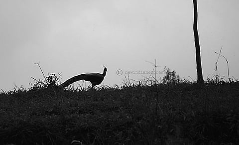 Image used for representational purpose only.