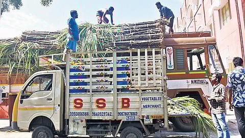Sugarcane being unloaded at the Presidency Hostel in Triplicance. (Photo| Ashwin Prasath, EPS)