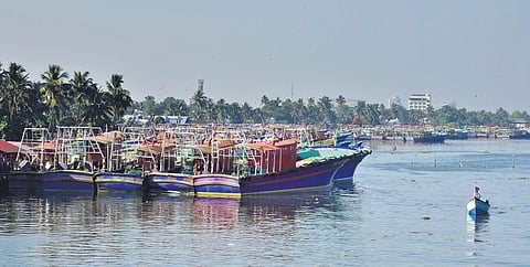Fishing boats docked at Kalamukku harbour near Vypeen in Kochi. (Photo| Albin Mathew, EPS)