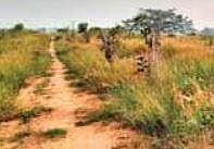 KG Layout in Bengaluru (File photo| EPS)