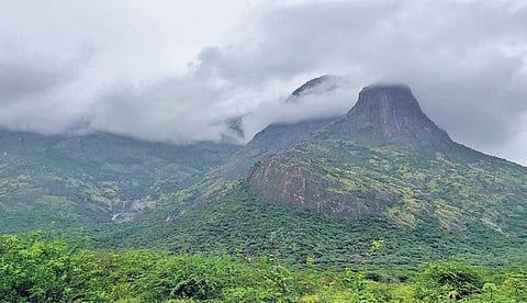 The project site is on a strip of land not more than 1 km wide passing through Suranganar RF, Machakkal RF and Bodi Westhill RF | Express