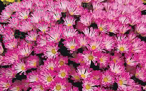 Representational Image