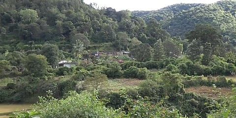 Visakhapatnam Agency (Representational Image | Youtube screengrab)