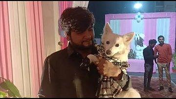 Chirag Patel and his brother Urvish Patel, had thrown a big party on the birthday of their pet dog. (Photo | ANI Twitter)