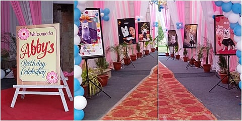 Chirag threw the birthday party in honour of his pomeranian named Abby. (Photo | ENS)