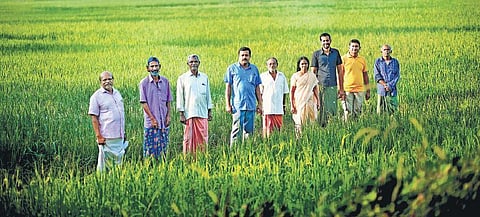 Growing strong at the grassroots