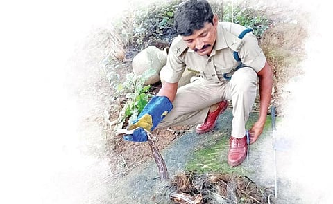 Meet forest officer Gopal Naik, aka the Snake Saviour