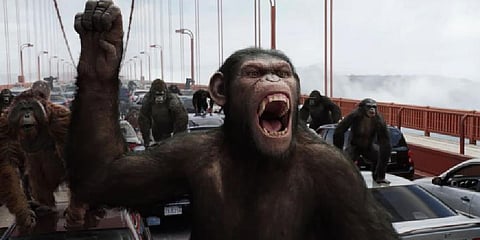 A still from the 'Planet of the Apes' franchise (Photo | YouTube Screengrab)
