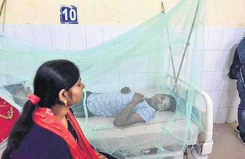 The rising cases of Dengue in the city