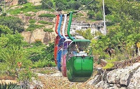 representative PICTURE