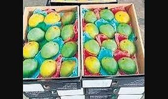 Central agencies probing accused Vijin’s links to drug cartel