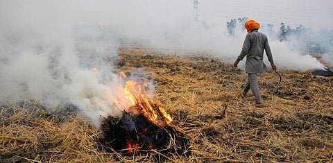 Image used for representational purpose only. (Photo | PTI)
