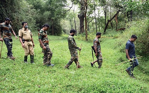 Rapid Response Team of the forest department searching for the tiger in Noolpuzha panchayat in Sultan Bathery, Wayanad