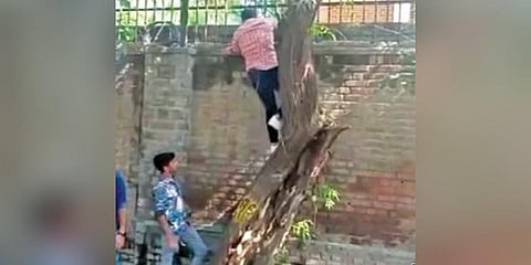 A CCTV footage shows few men trying to enter the college campus by climbing the walls.