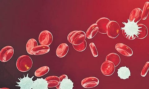 Blood cancer myths and facts