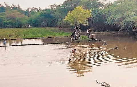 Tangedco staff engaged in the op to restore power supply | Express