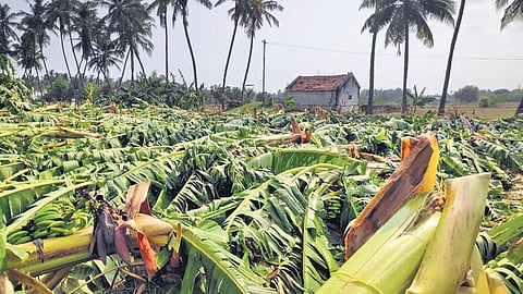 The council will evaluate the efficacy of existing policies on climate change and learn from sustainable practices across the country | express