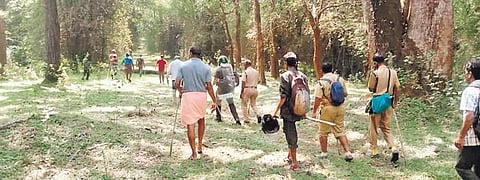 Forest officials and residents of Cheeral village search for the elusive tiger in Noolpuzha, Wayanad on Sunday