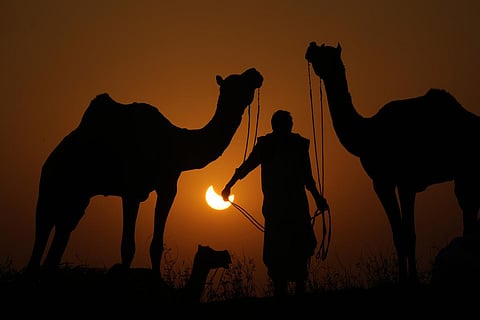 A solar eclipse happens when the moon’s path crosses in between the Earth and the sun, blocking out the sun’s light. A camel herder is silhouetted against a partial solar eclipse in Pushkar, in the western Indian state of Rajasthan. (Photo | PTI)
