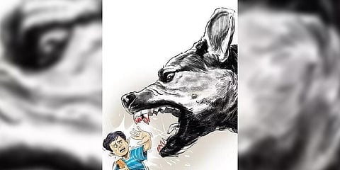 Express Illustrations.