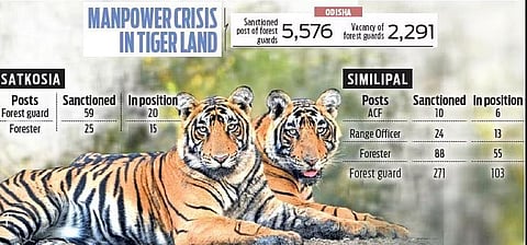 Satkosia Reserve tiger-less, its beats man-less