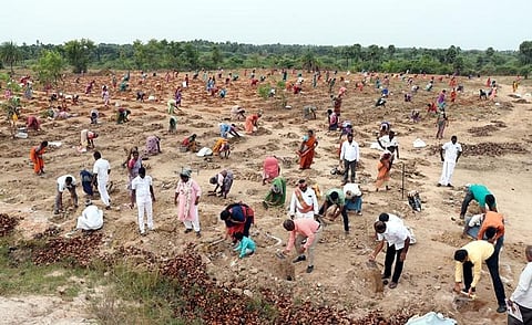 Mass plantation drive in Ranipet