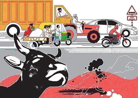 The long road to building roads for humans, not cars in India