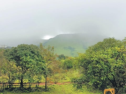 Chill on the hill @ Kerala’s own ‘Scotland’