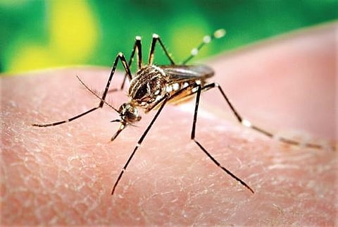 For representational purposes