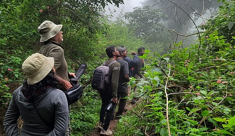 Officials from the Dindigul forest department